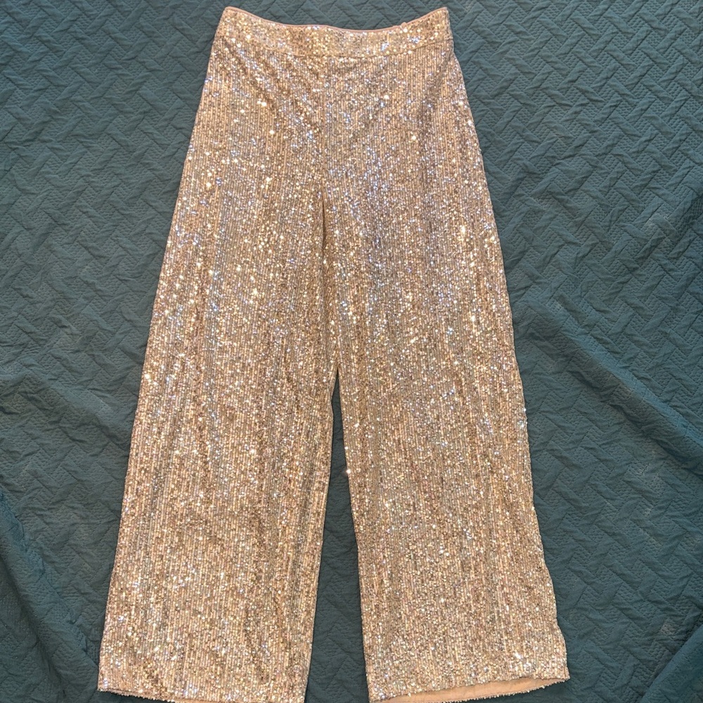 Banana Republic Sequin Pants in Silver and Cream